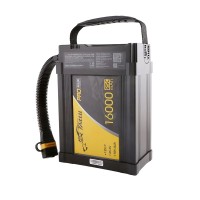 Tattu PRO HV 12S1P 45.6V 16000mah 25Cバッテリー高圧版