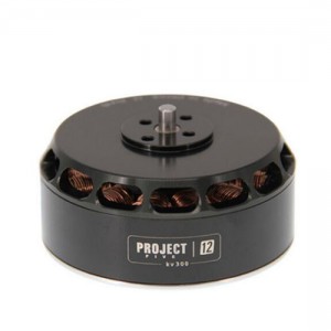 Tarot 5012 300KV ブラシレスモーターTL50P12